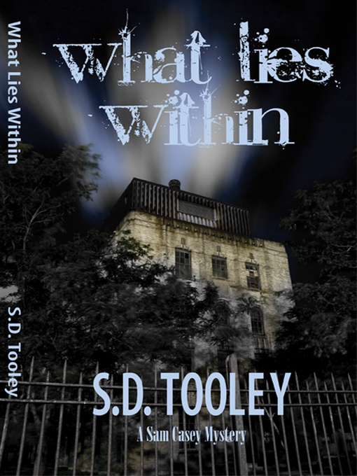 Title details for What Lies Within by S.D. Tooley - Available